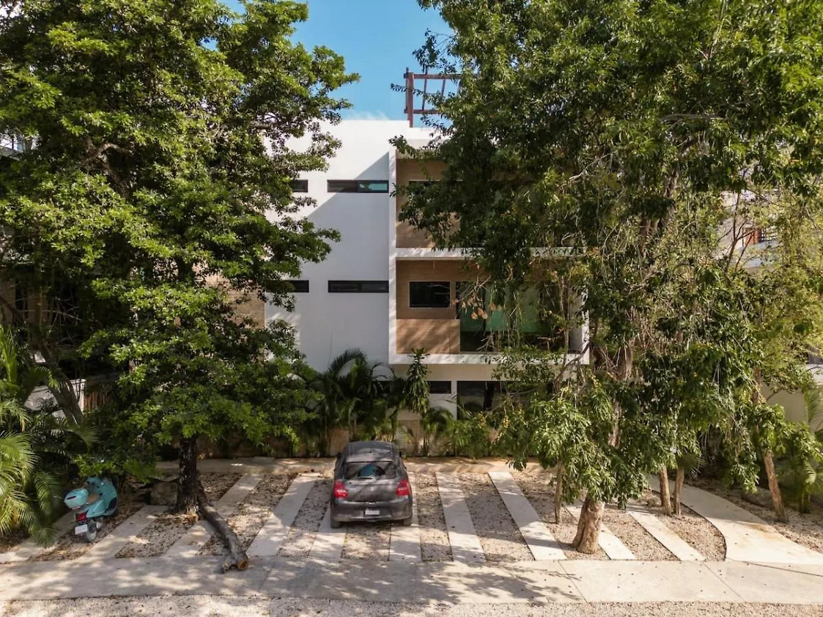 Selva Terra Sol Beach Club Access تولوم 0*,